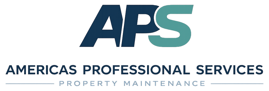 APS — Americas Professional Services